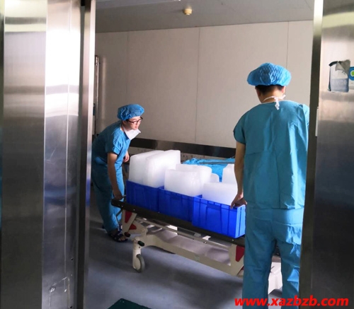 大香蕉在线播放冰块厂家